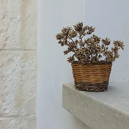 Origano In Salento Apartment *