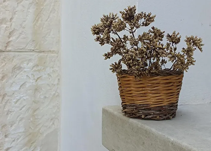 Origano In Salento Apartment *